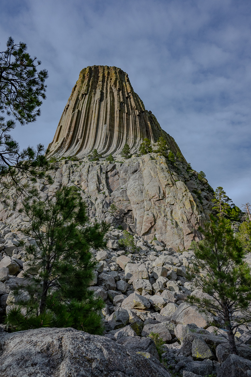 DSC_8959.jpg