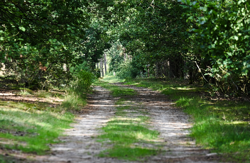 DSC_8979.jpg
