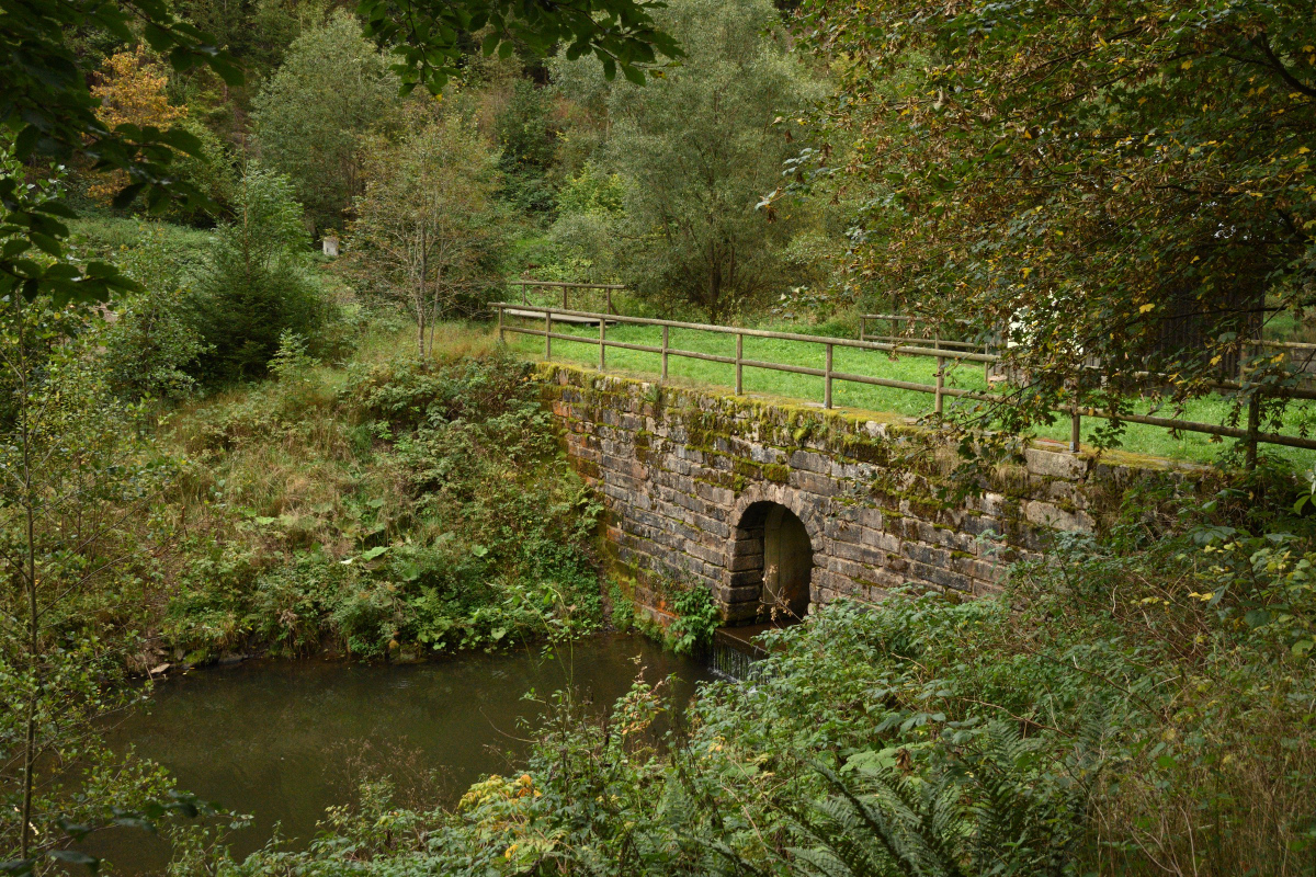 DSC_8984.JPG