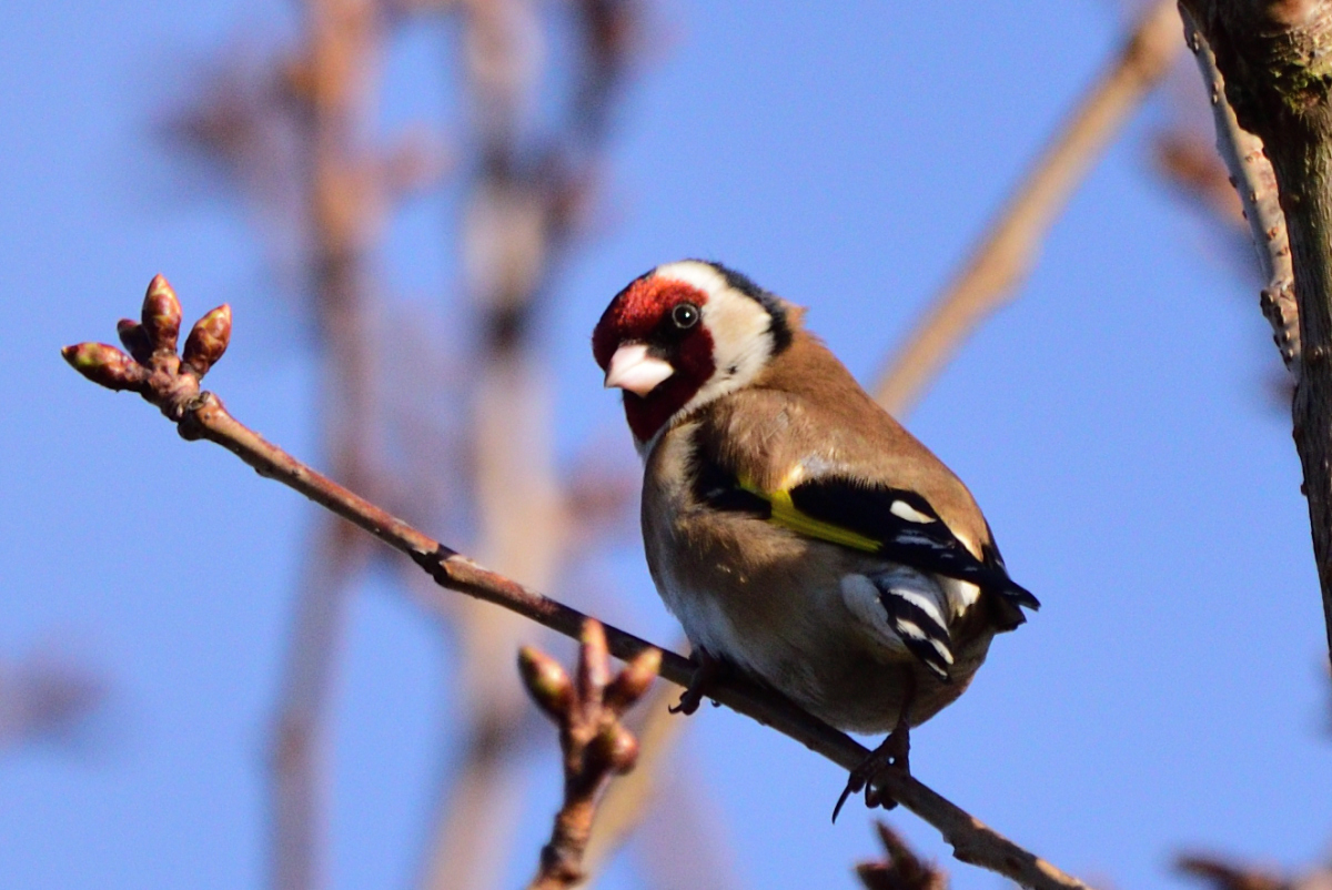 DSC_9013_00001.jpg