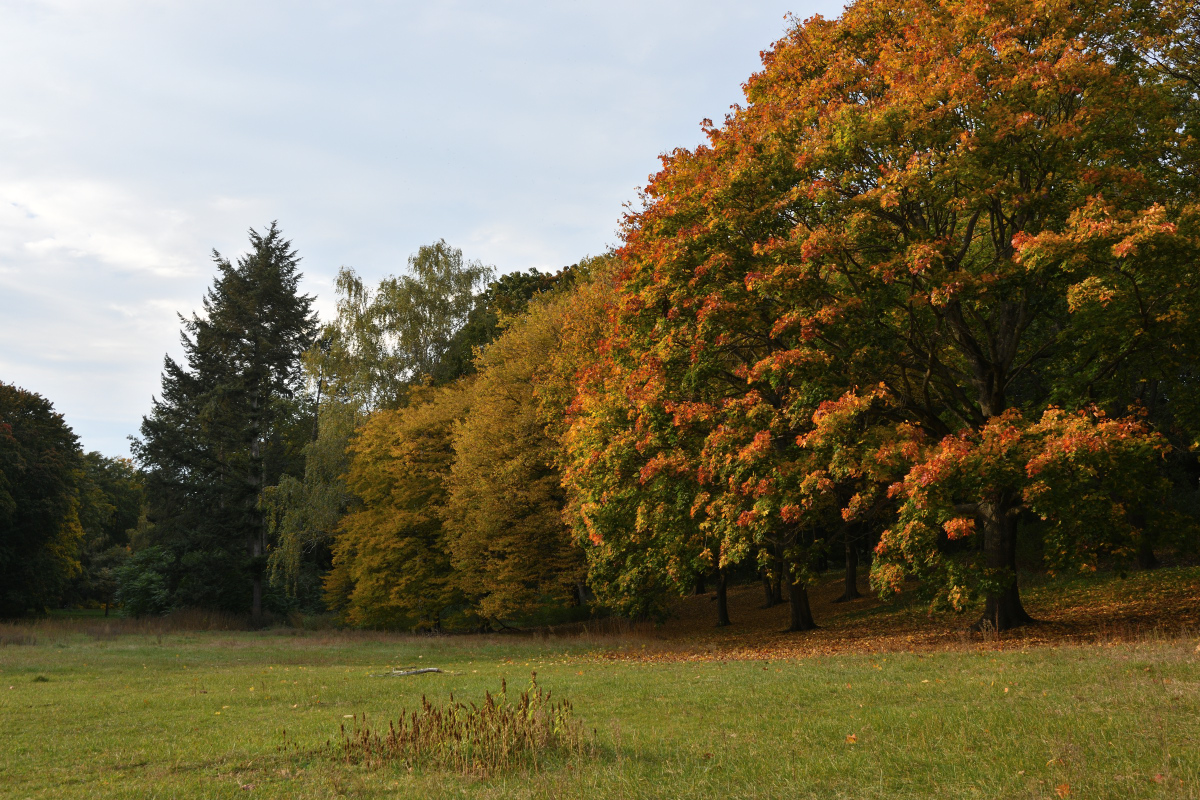 DSC_9025.JPG