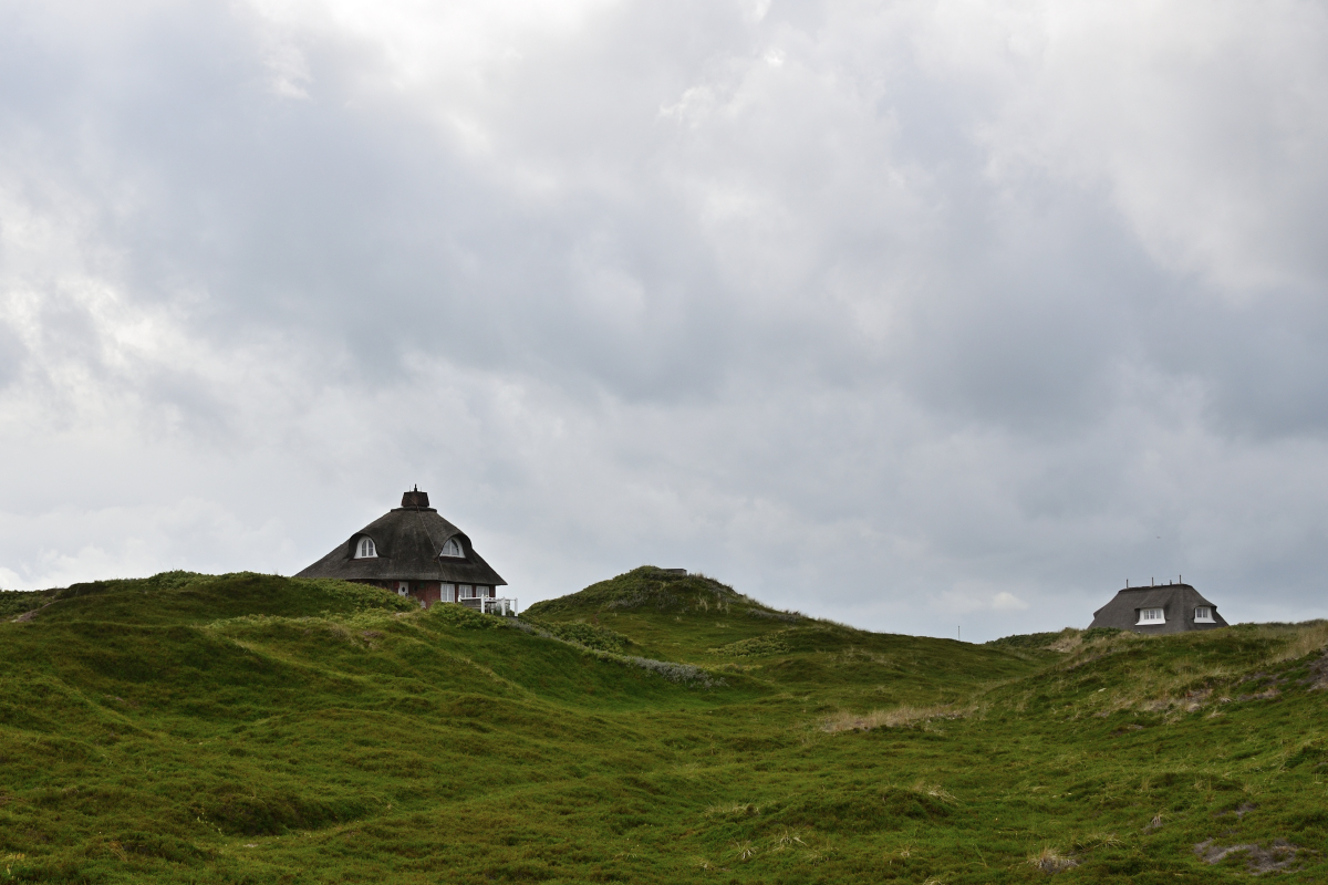 DSC_9032.JPG