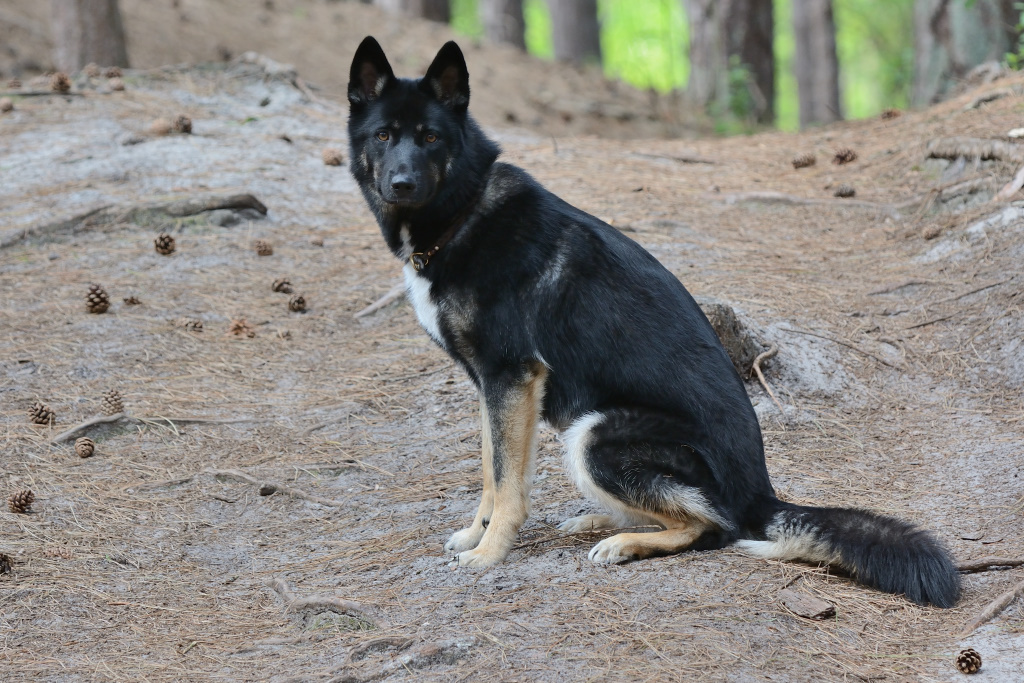 DSC_9039_00001.jpg