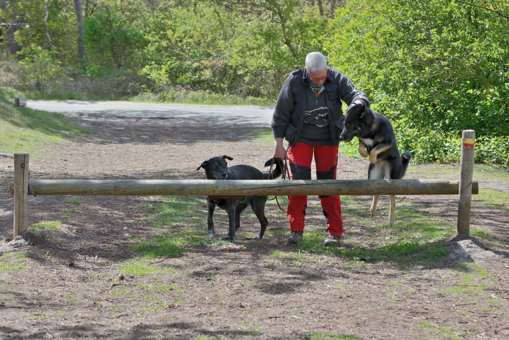 DSC_9050_00004.jpg
