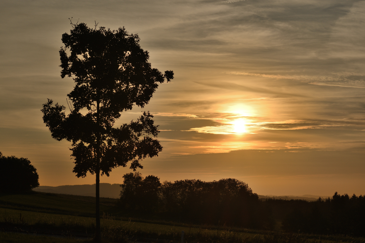 DSC_9073.JPG