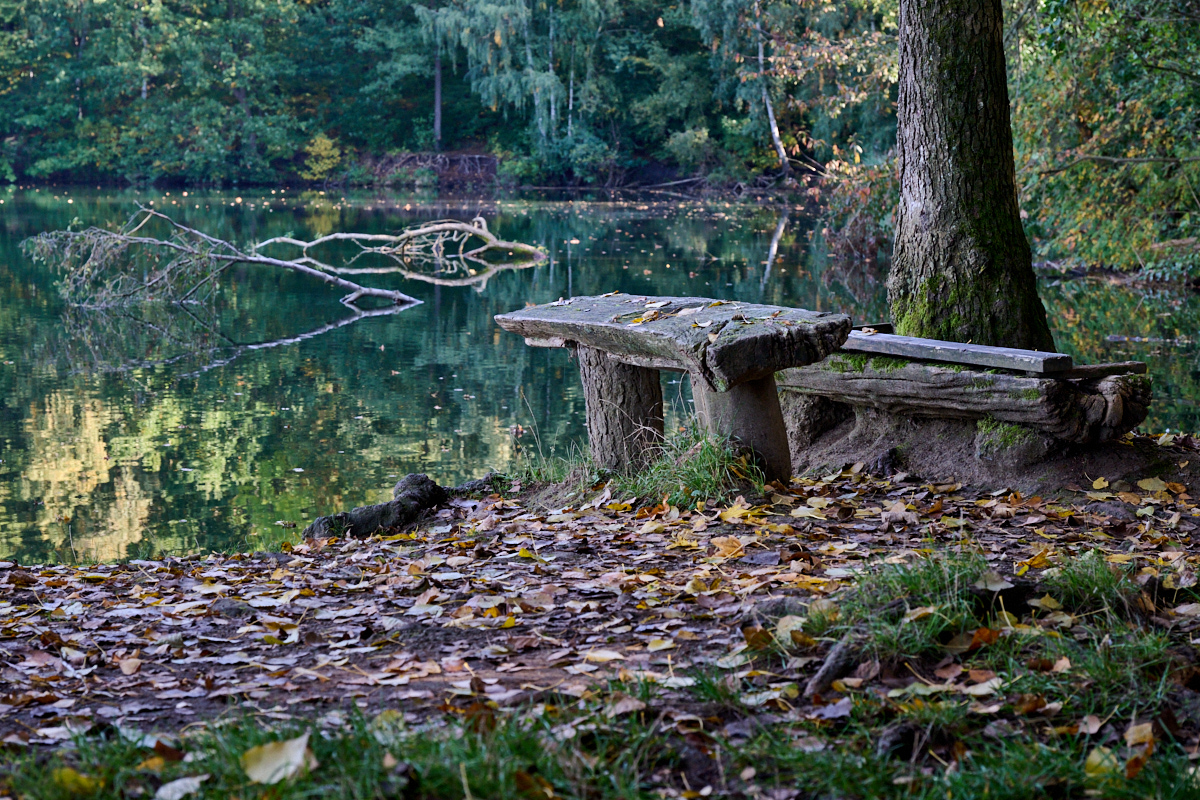DSC_9092 1.jpg