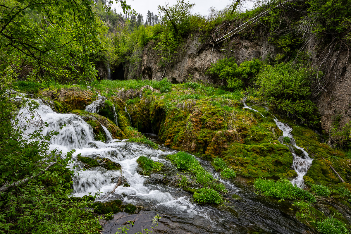 DSC_9094.jpg