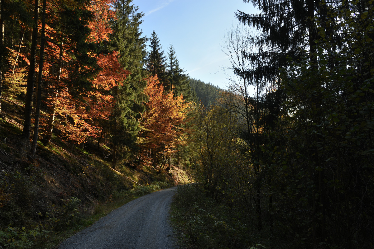 DSC_9095.JPG