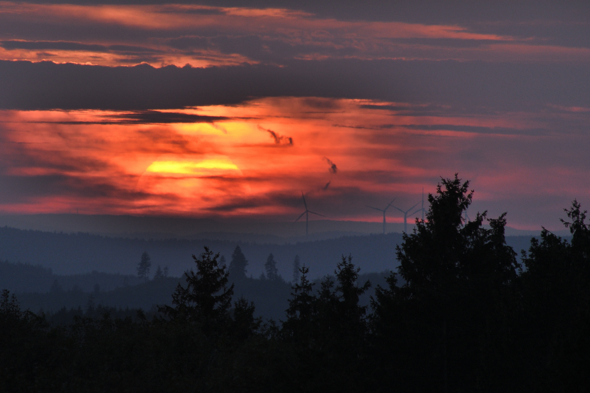 DSC_9100.JPG