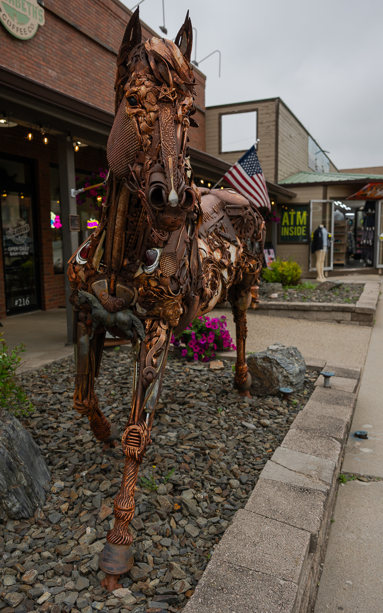 DSC_9106.jpg