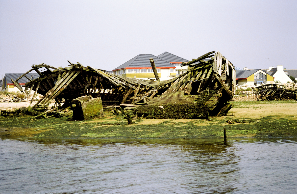 DSC_9107.jpg