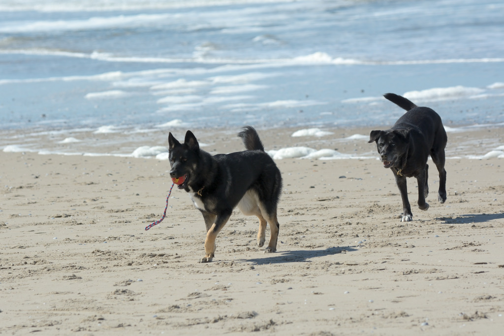 DSC_9124_00001.jpg