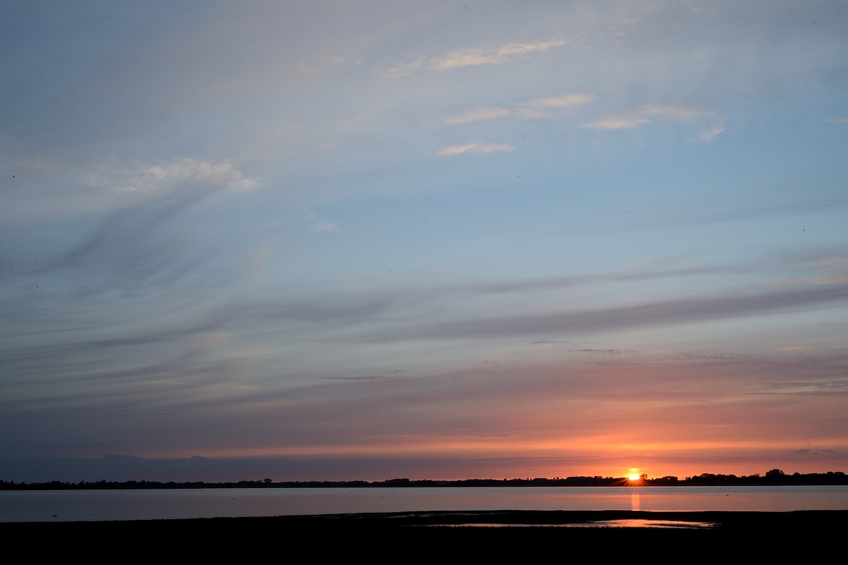 DSC_9184a.jpg