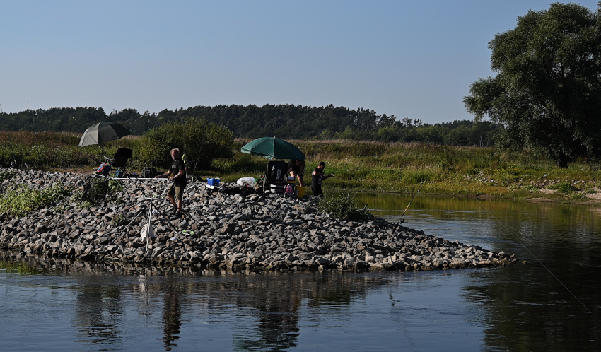 DSC_9185.jpg