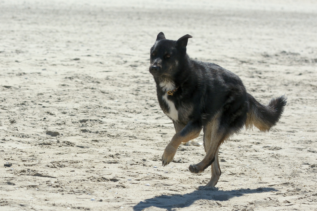 DSC_9195_00006.jpg