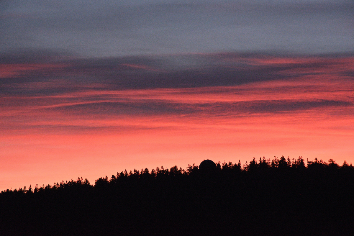 DSC_9206.JPG