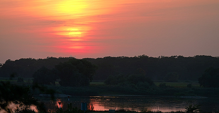 DSC_9252.jpg