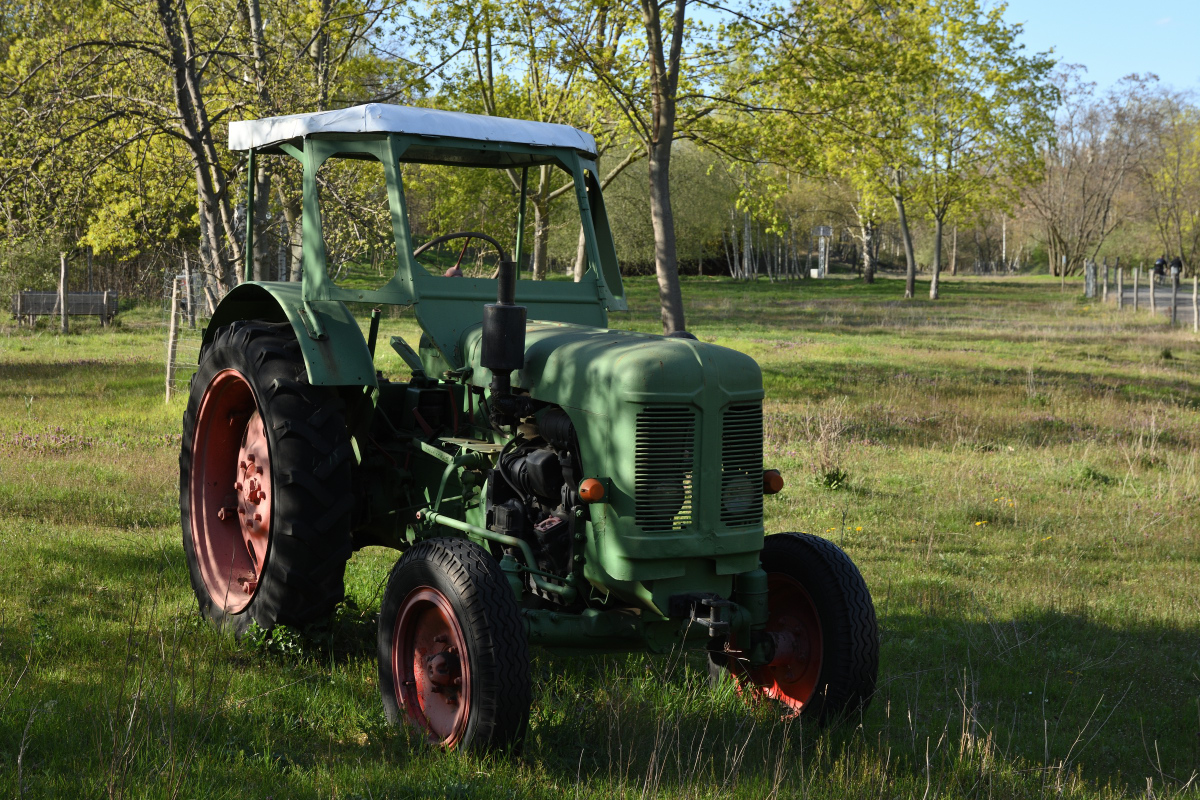 DSC_9329.JPG