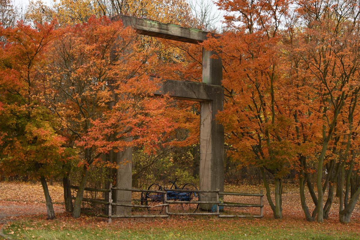 DSC_9347.JPG