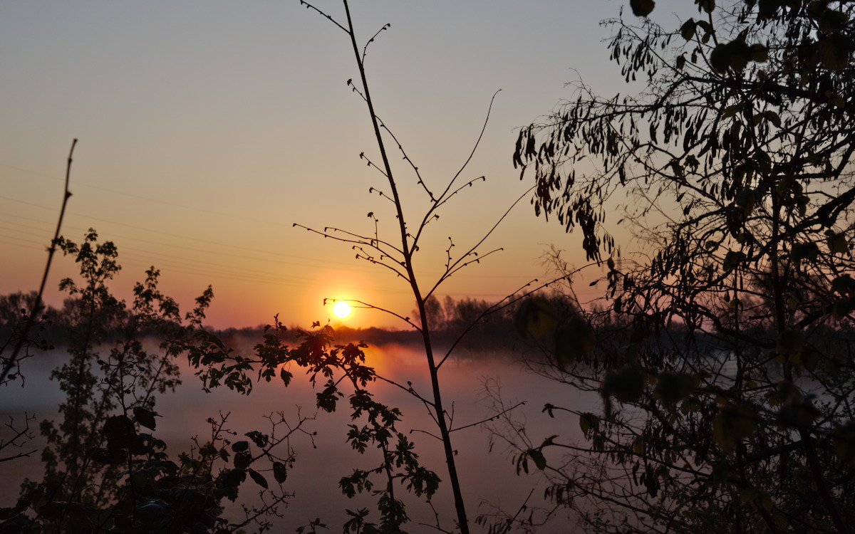 DSC_9356_01.jpg