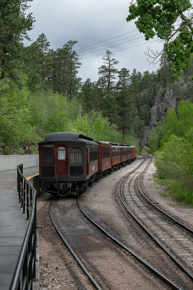 DSC_9373.jpg