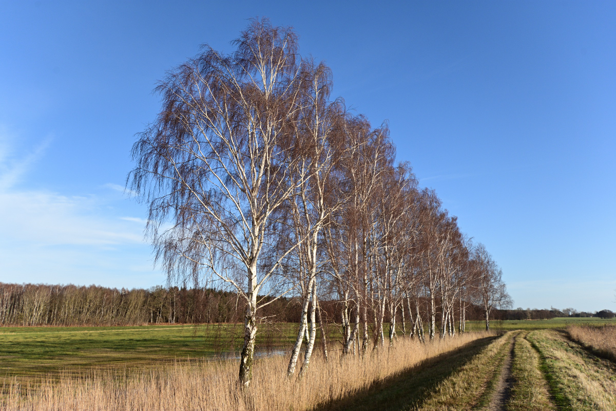 DSC_9389.JPG
