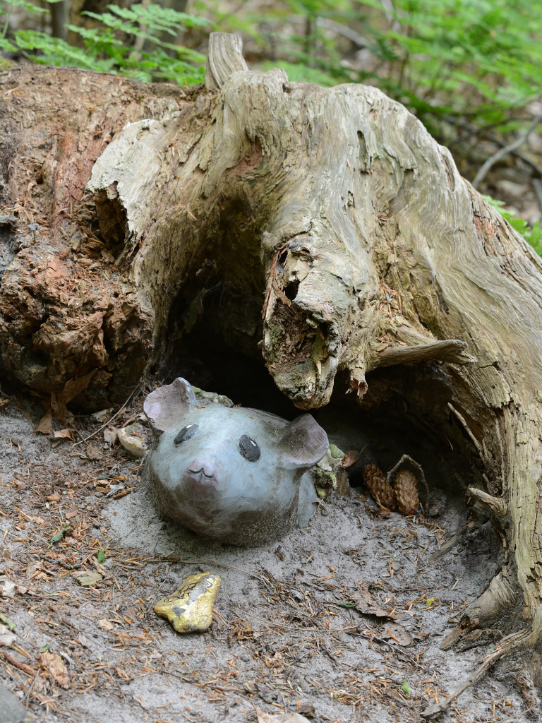 DSC_9408_00012.jpg