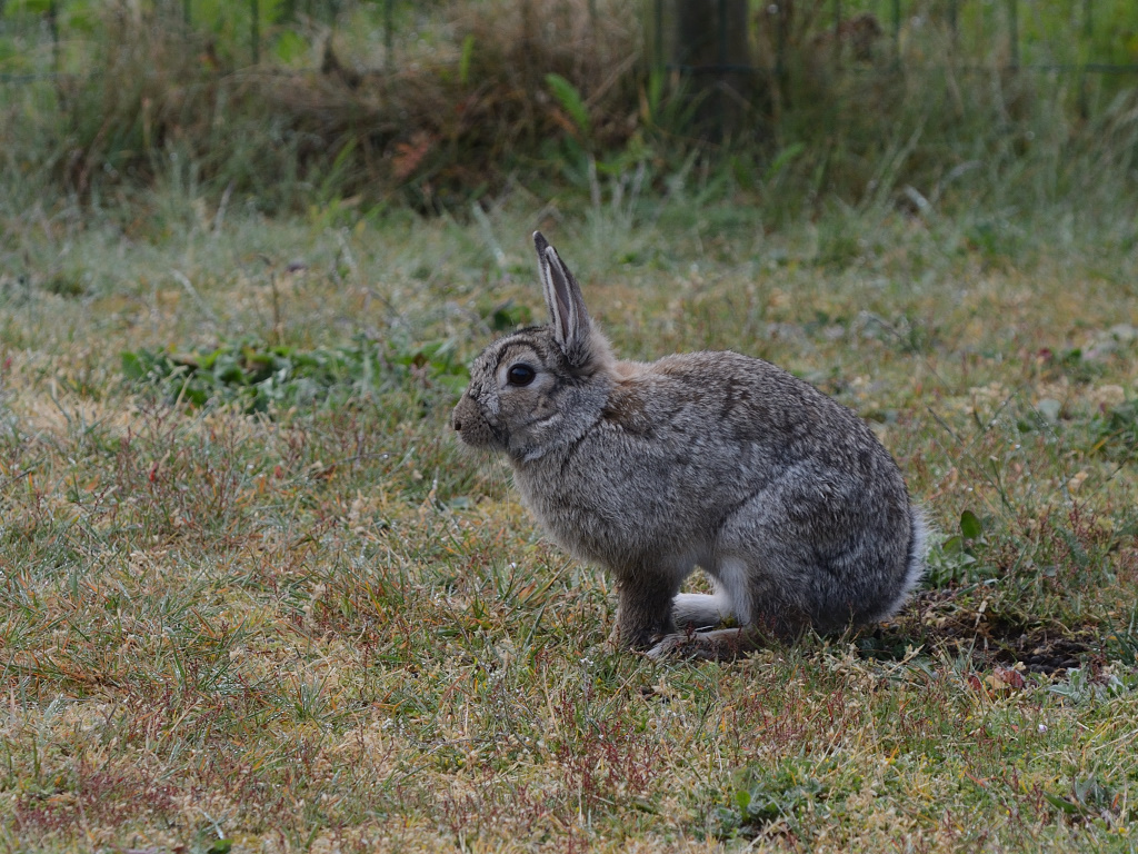 DSC_9414_00001.jpg