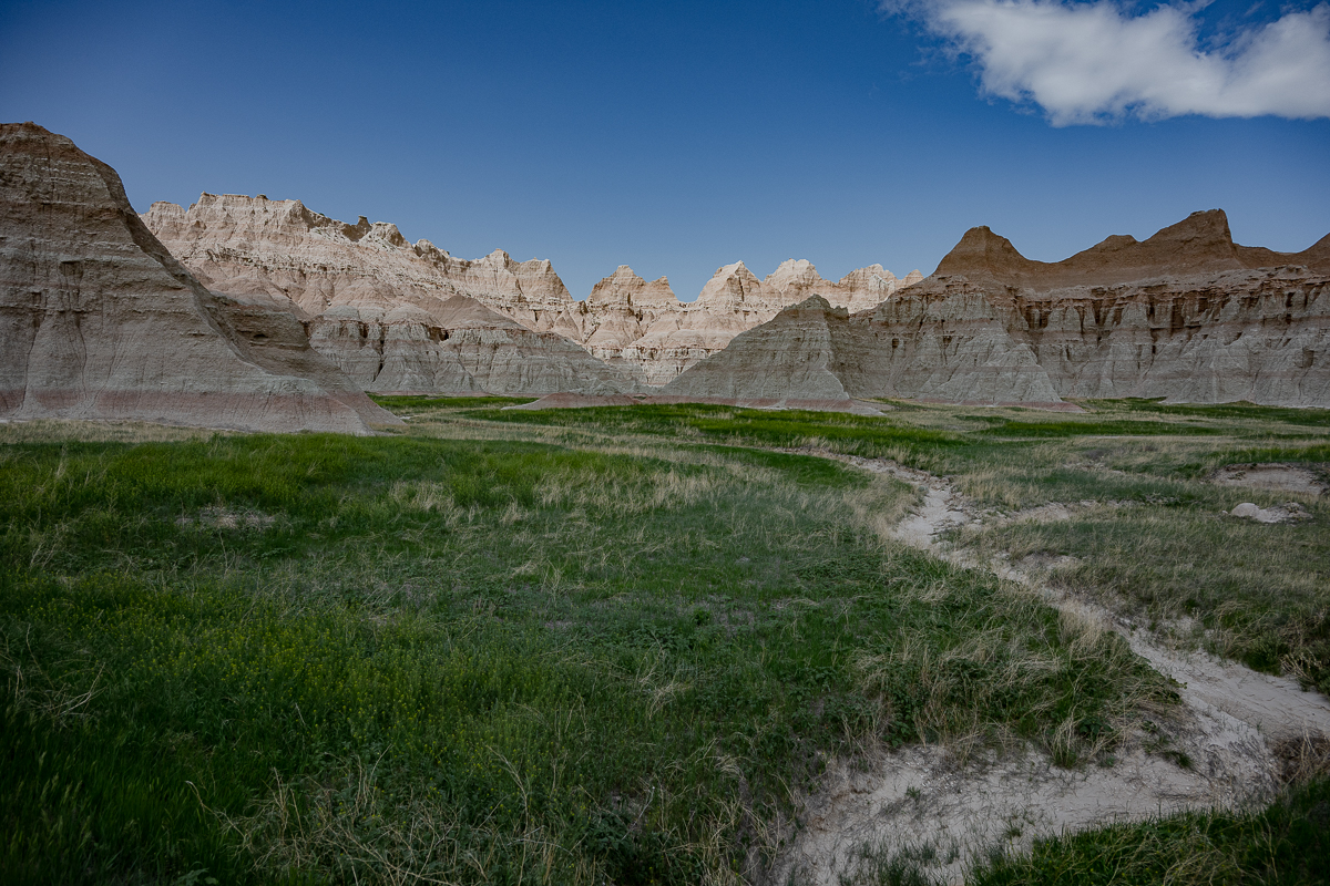 DSC_9417.jpg