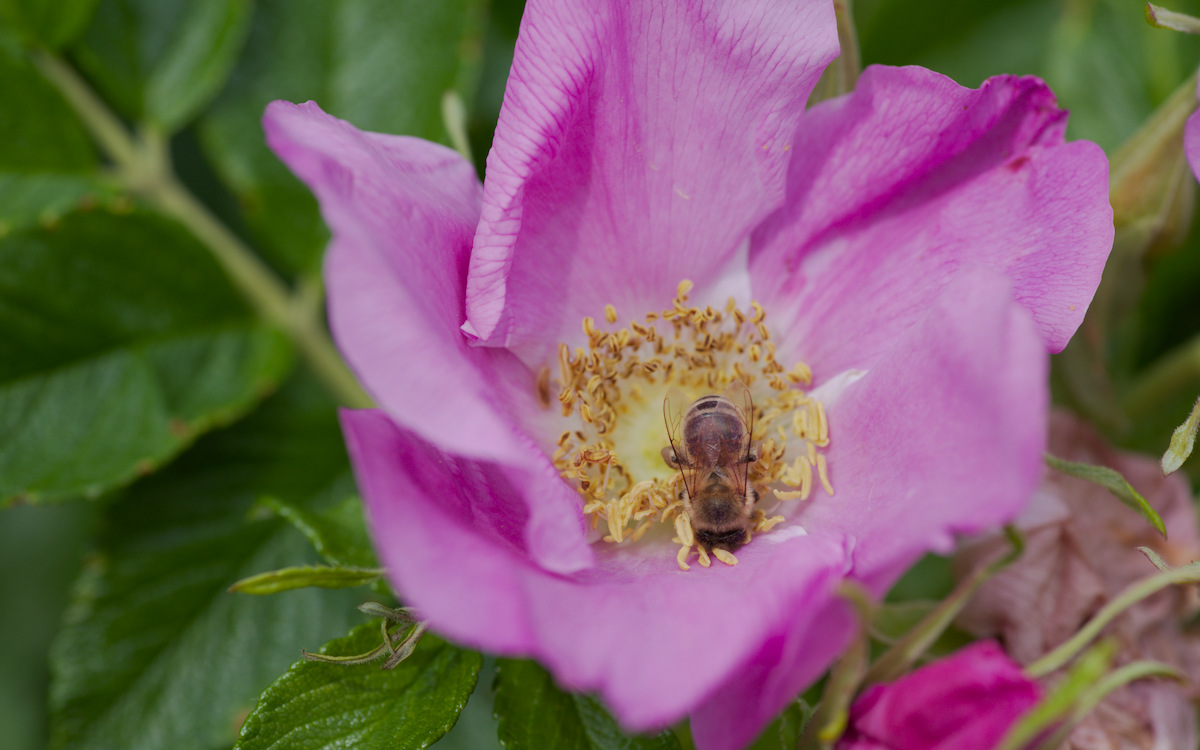 DSC_9426.jpg
