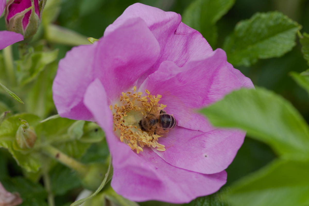 DSC_9435.jpg