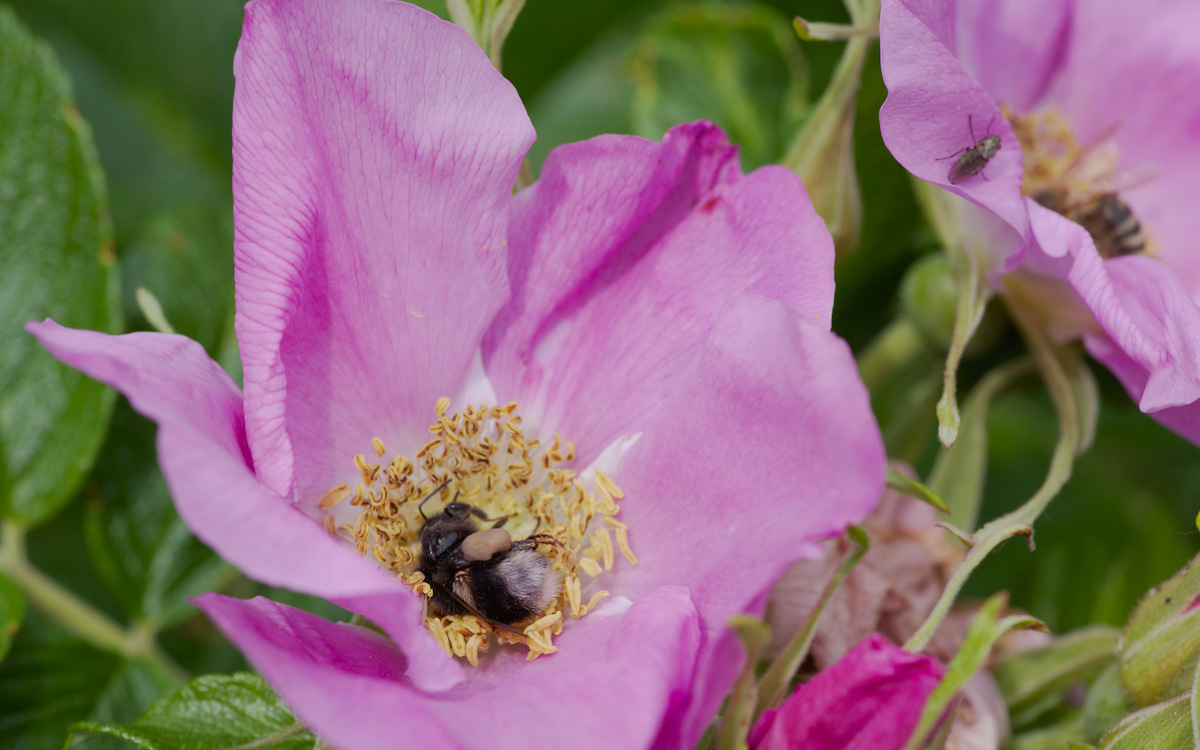 DSC_9439.jpg