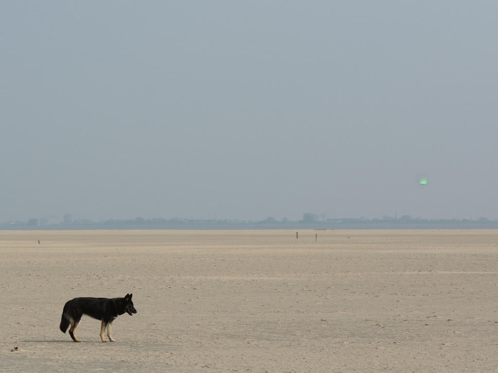 DSC_9439_00003.jpg