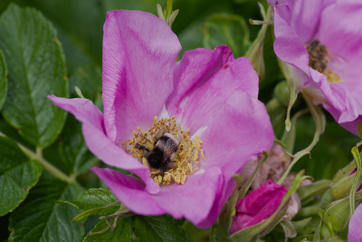 DSC_9442.jpg