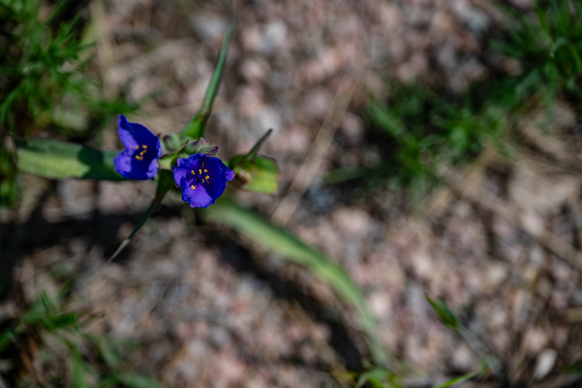 DSC_9468.jpg