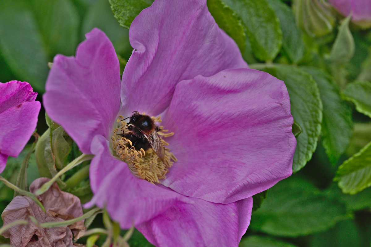 DSC_9474.jpg