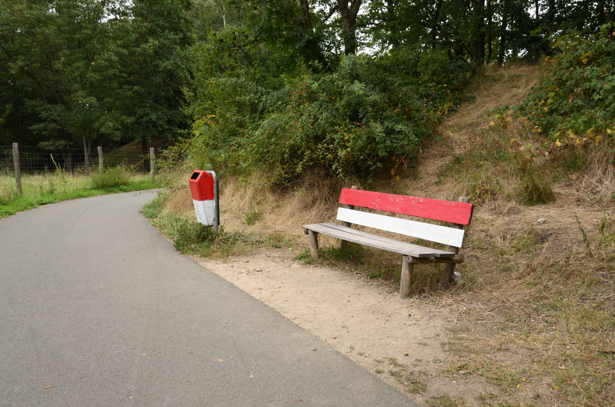 DSC_9481.JPG