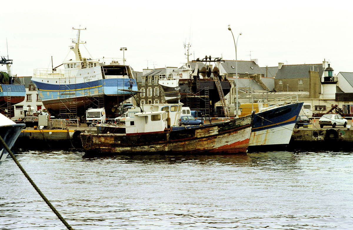 DSC_9503.jpg