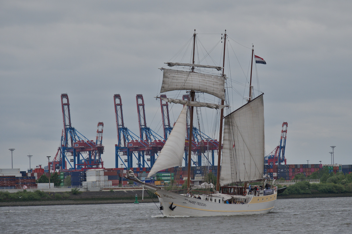 DSC_9538.jpg