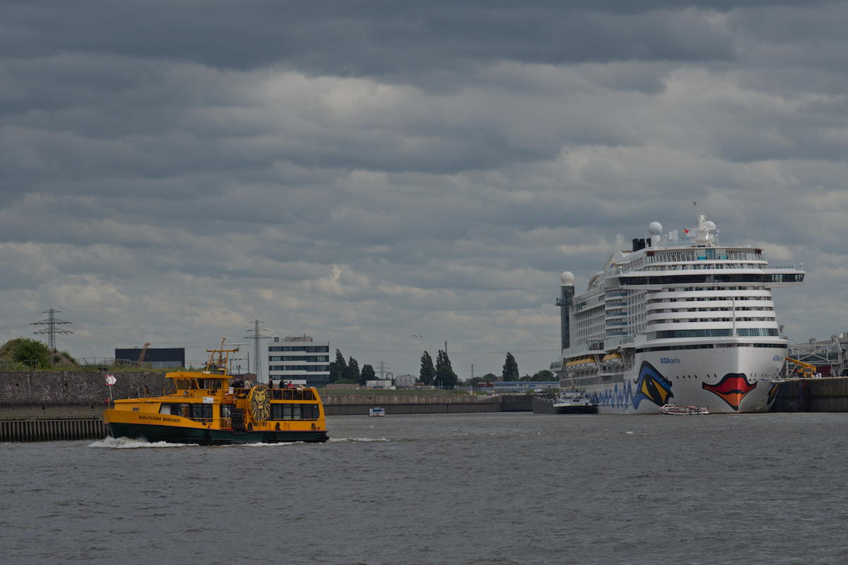 DSC_9557.jpg