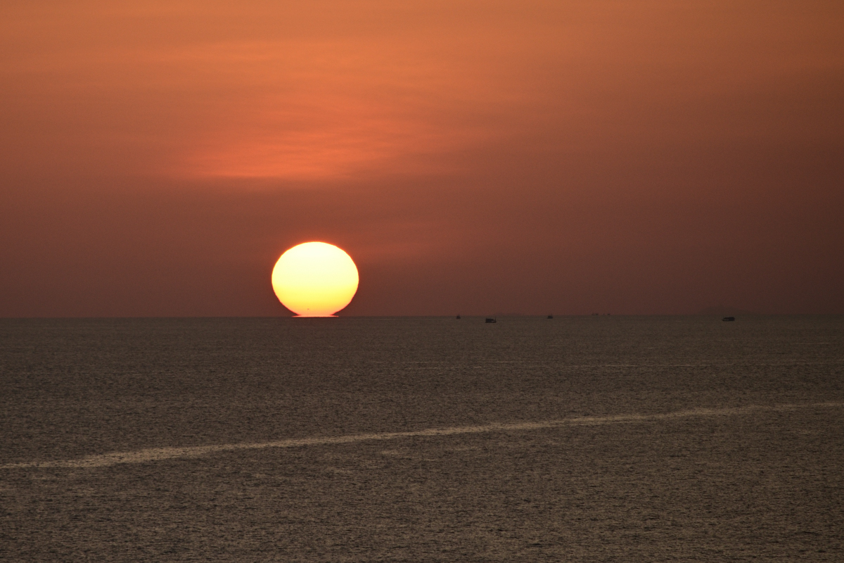DSC_9578.JPG