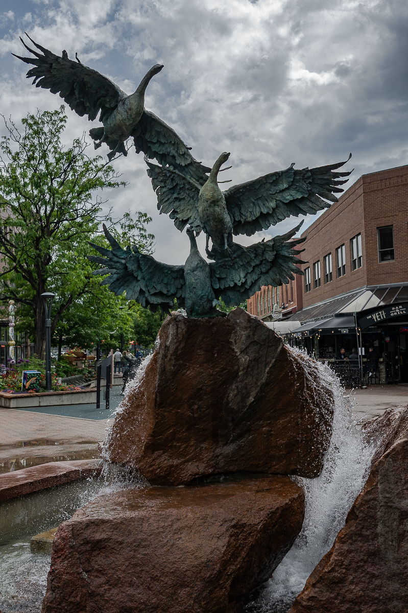 DSC_9590.jpg