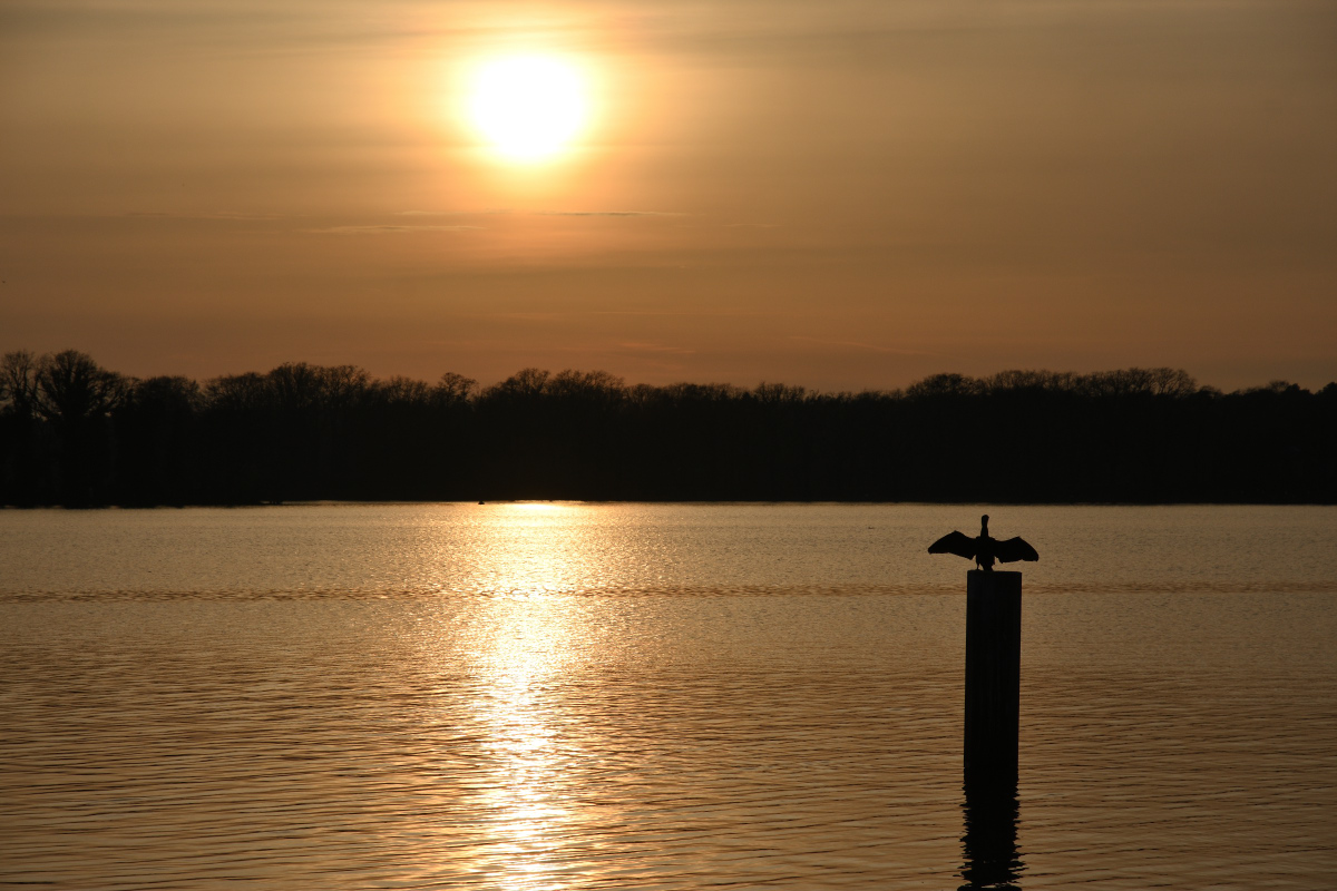 DSC_9597.JPG