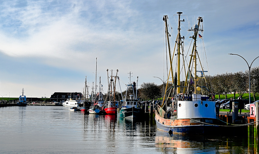 DSC_9602.jpg