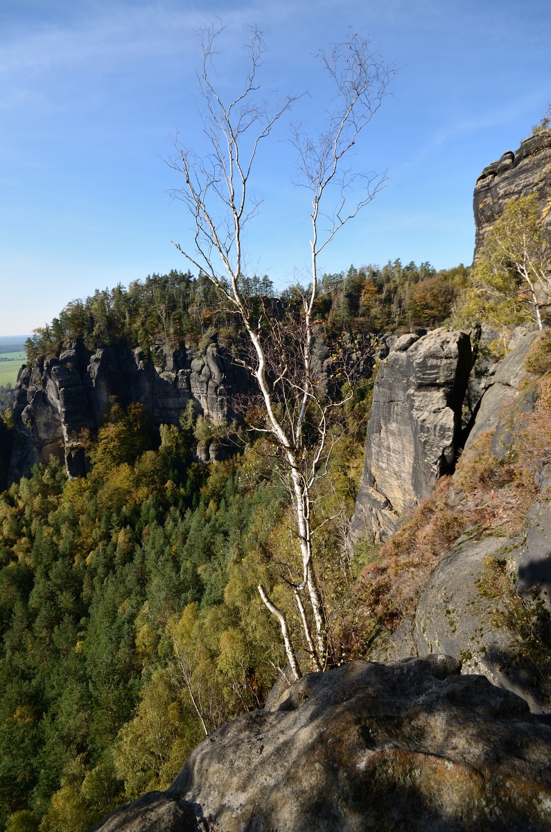 DSC_9614_00001.jpg