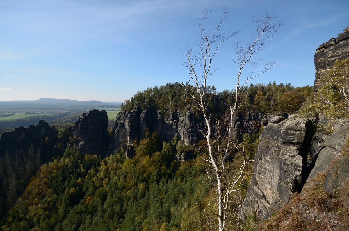 DSC_9615_00001n.jpg