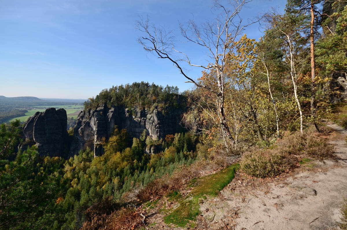 DSC_9618_00001n.jpg