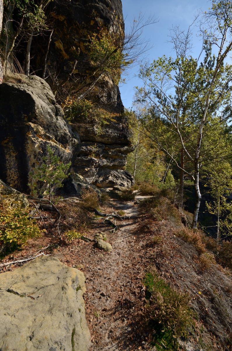 DSC_9619_00001n.jpg