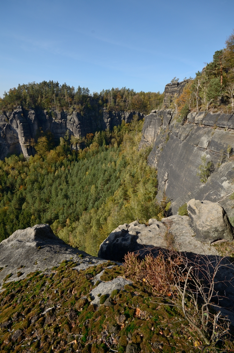 DSC_9625_00001n.jpg