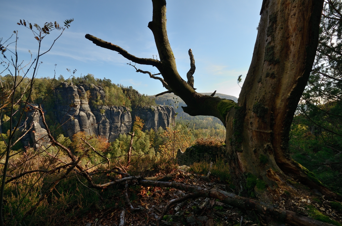 DSC_9633_00001n.jpg